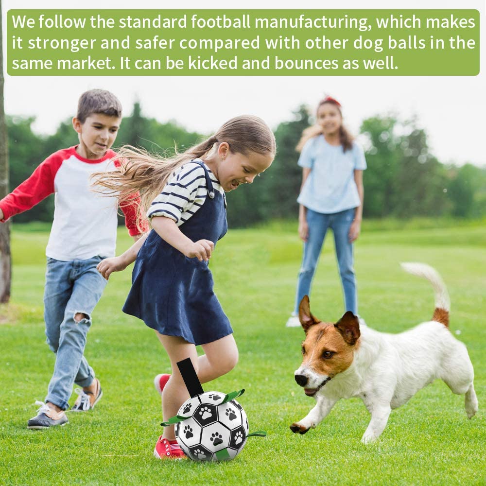Dog Pet Football Toys