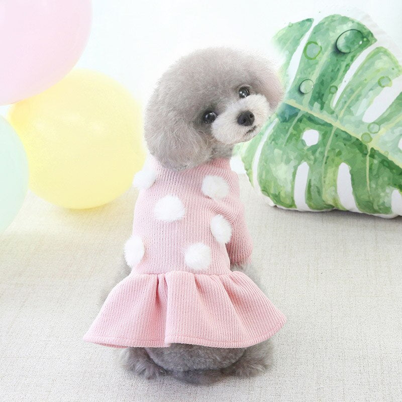 Puppy Dog Clothing Teddy Poodle