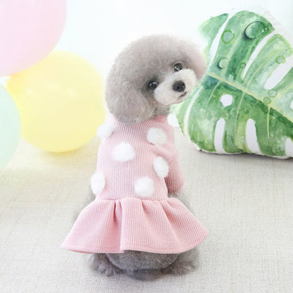 Puppy Dog Clothing Teddy Poodle