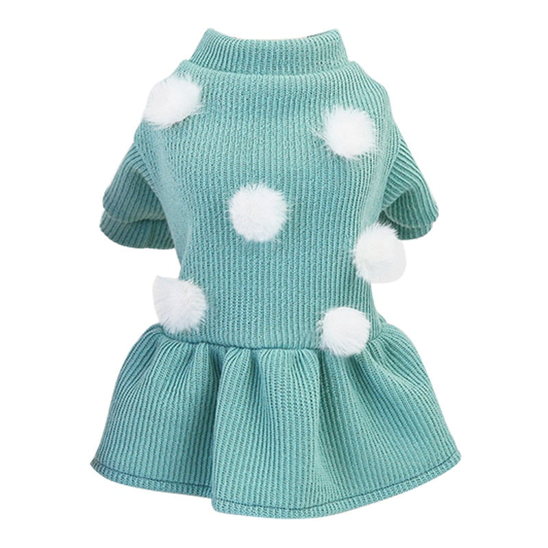 Puppy Dog Clothing Teddy Poodle