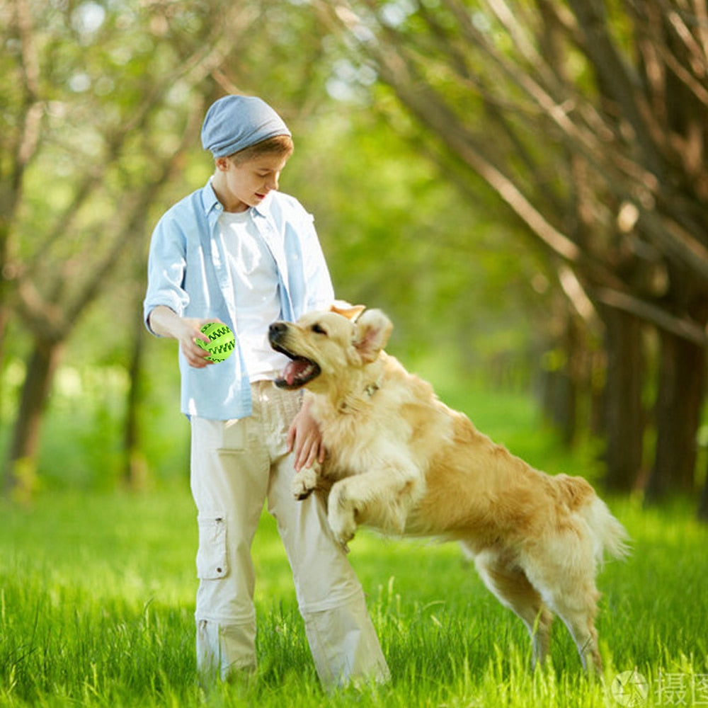 Dogs Toys