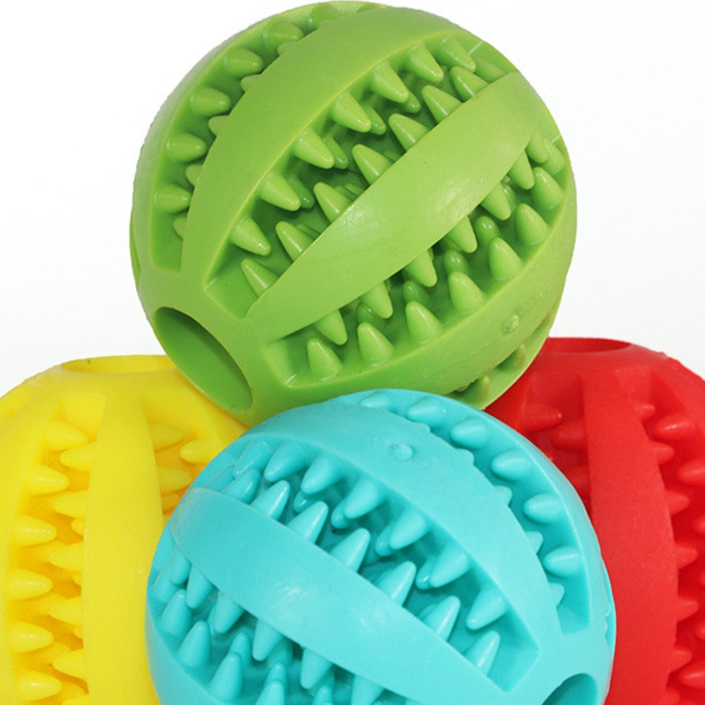 Dogs Toys
