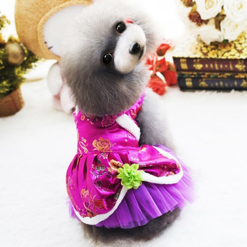 Puppy Dog Clothing Teddy Poodle
