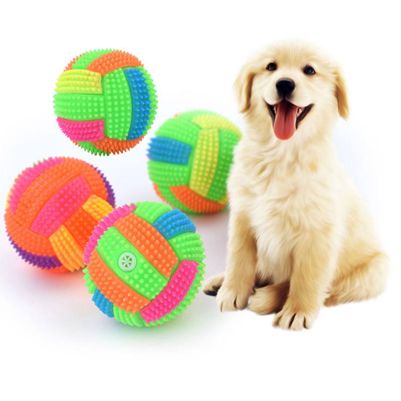 Chewing Elastic Ball Toy