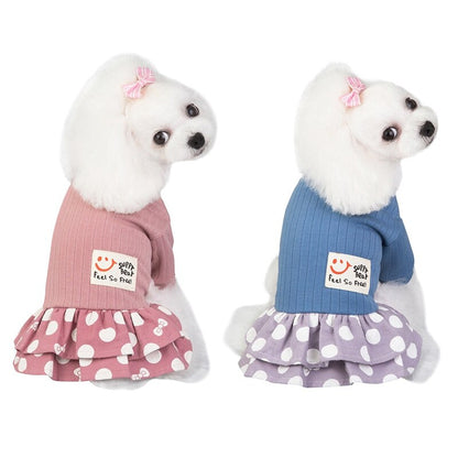 Puppy Dog Clothing Teddy Poodle