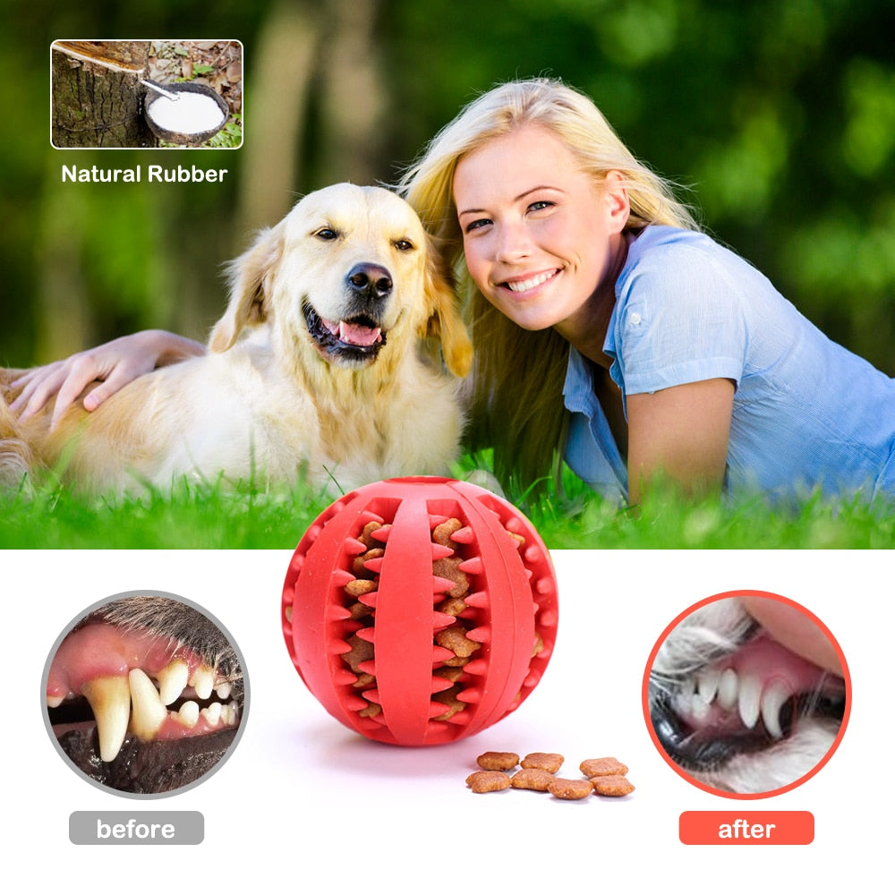 Dogs Toys