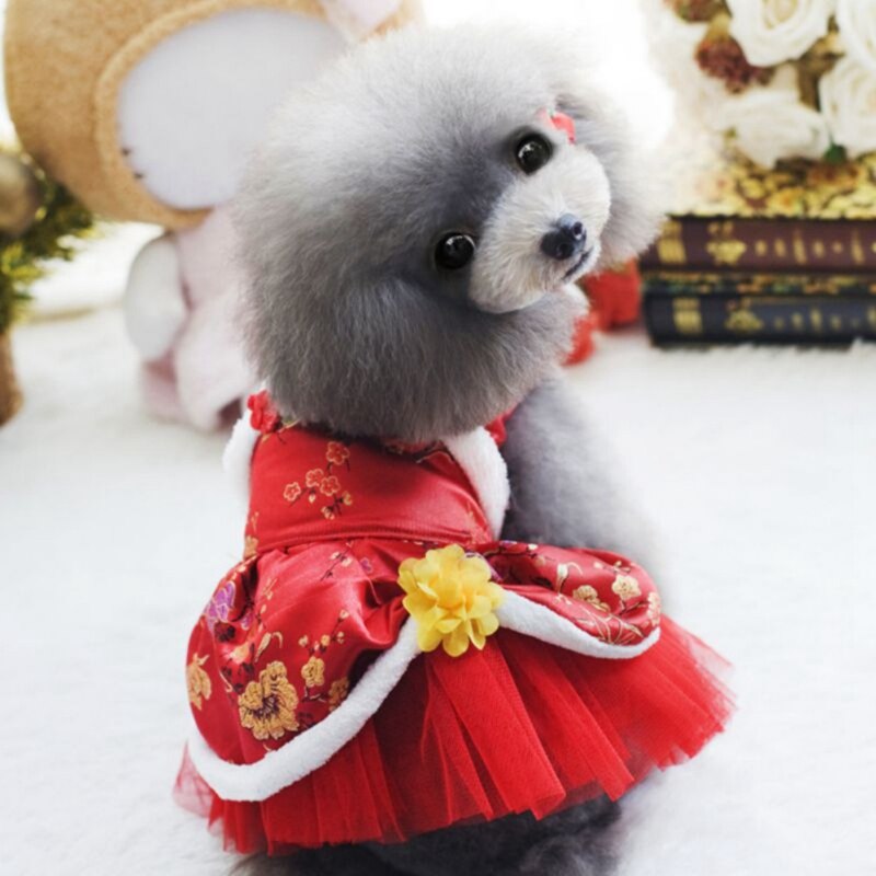 Puppy Dog Clothing Teddy Poodle