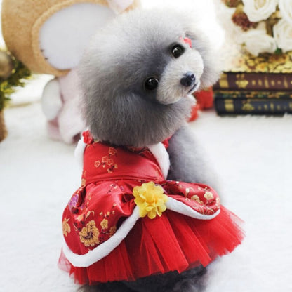 Puppy Dog Clothing Teddy Poodle