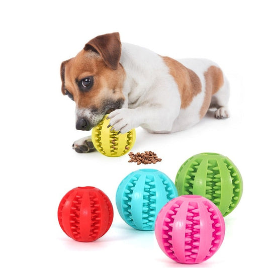 Dogs Toys